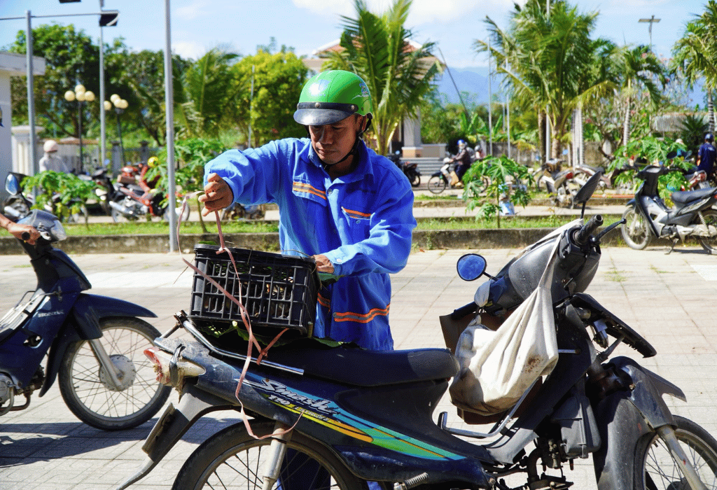 Link ảnh đại diện web (4)